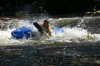 Thumbs/tn_Img_2059.jpg