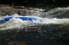 Thumbs/tn_Img_2060.jpg