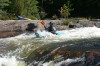 Thumbs/tn_Img_2077.jpg