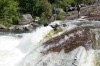 Thumbs/tn_Img_2083.jpg