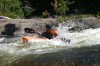 Thumbs/tn_Img_2089.jpg