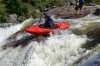 Thumbs/tn_Img_2120.jpg