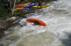 Thumbs/tn_Img_2277.jpg