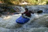 Thumbs/tn_Img_2364.jpg