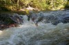 Thumbs/tn_Img_2366.jpg
