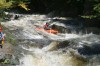 Thumbs/tn_Img_2394.jpg