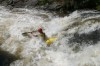 Thumbs/tn_Img_2431.jpg