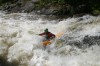 Thumbs/tn_Img_2438.jpg