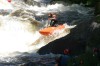 Thumbs/tn_Img_2451.jpg