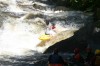 Thumbs/tn_Img_2471.jpg