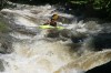 Thumbs/tn_Img_2504.jpg