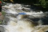 Thumbs/tn_Img_2523.jpg