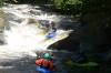 Thumbs/tn_Img_2572.jpg