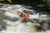 Thumbs/tn_Img_2584.jpg