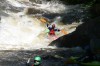 Thumbs/tn_Img_2589.jpg