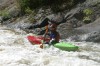 Thumbs/tn_Img_2726.jpg
