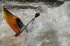 Thumbs/tn_Img_2847.jpg