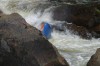 Thumbs/tn_Img_0030.jpg