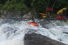 Thumbs/tn_Img_0037.jpg