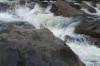 Thumbs/tn_Img_0044.jpg
