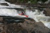 Thumbs/tn_Img_0085.jpg