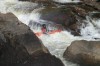 Thumbs/tn_Img_0088.jpg