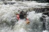 Thumbs/tn_Img_0368.jpg