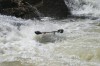 Thumbs/tn_Img_0374.jpg