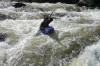 Thumbs/tn_Img_0387.jpg