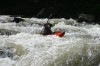 Thumbs/tn_Img_0428.jpg