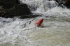 Thumbs/tn_Img_0437.jpg