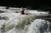 Thumbs/tn_Img_0442.jpg