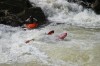 Thumbs/tn_Img_0451.jpg