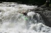 Thumbs/tn_Img_0459.jpg
