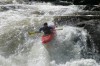 Thumbs/tn_Img_0502.jpg