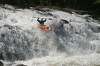 Thumbs/tn_Img_0526.jpg