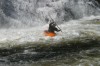 Thumbs/tn_Img_0531.jpg