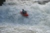 Thumbs/tn_Img_0590.jpg