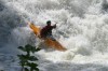 Thumbs/tn_Img_0620.jpg