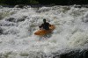 Thumbs/tn_Img_0677.jpg