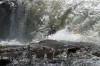 Thumbs/tn_Img_0679.jpg
