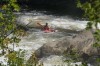 Thumbs/tn_Img_0698.jpg