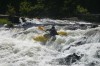Thumbs/tn_Img_0705.jpg