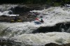 Thumbs/tn_Img_0717.jpg