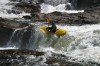 Thumbs/tn_Img_0727.jpg