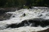 Thumbs/tn_Img_0771.jpg