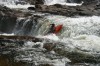Thumbs/tn_Img_0788.jpg