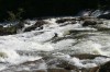 Thumbs/tn_Img_0812.jpg