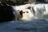 Thumbs/tn_Img_0824.jpg