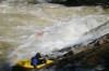 Thumbs/tn_Img_0852.jpg